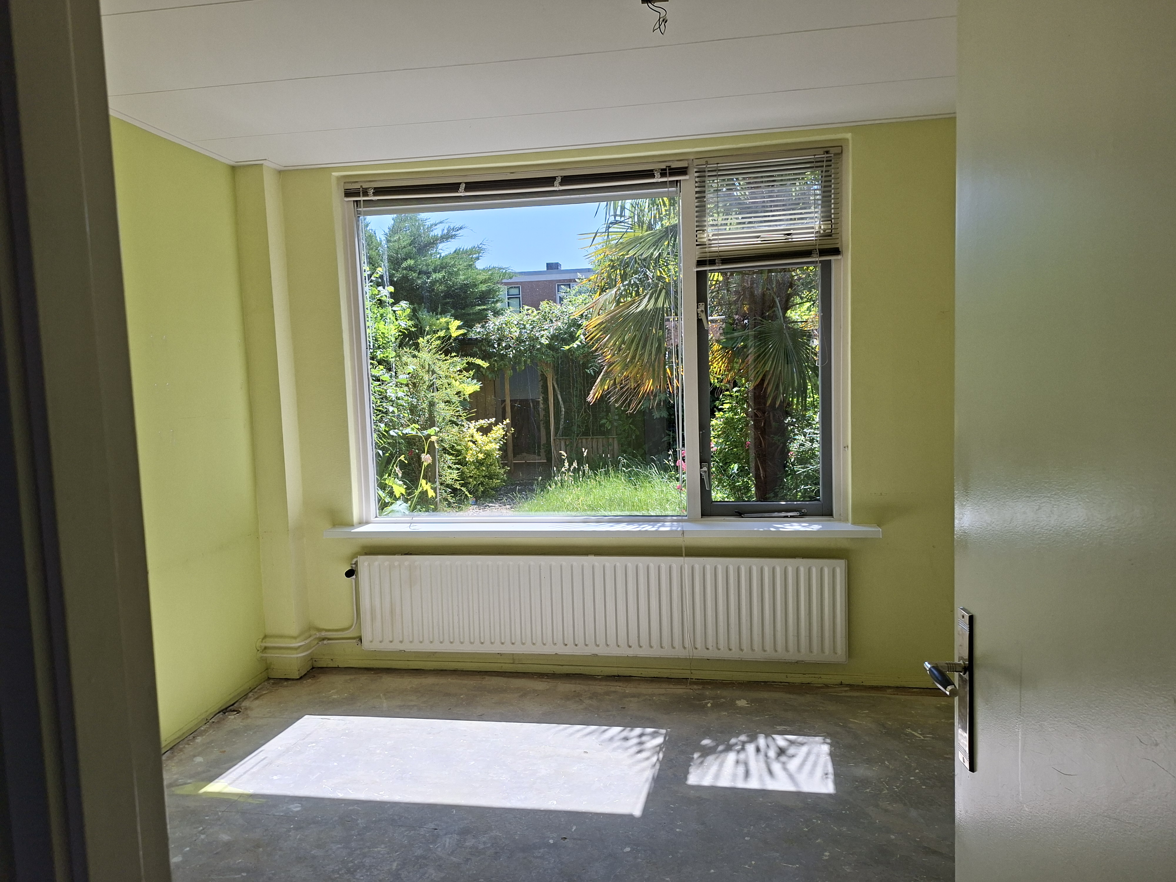Pioenstraat 5