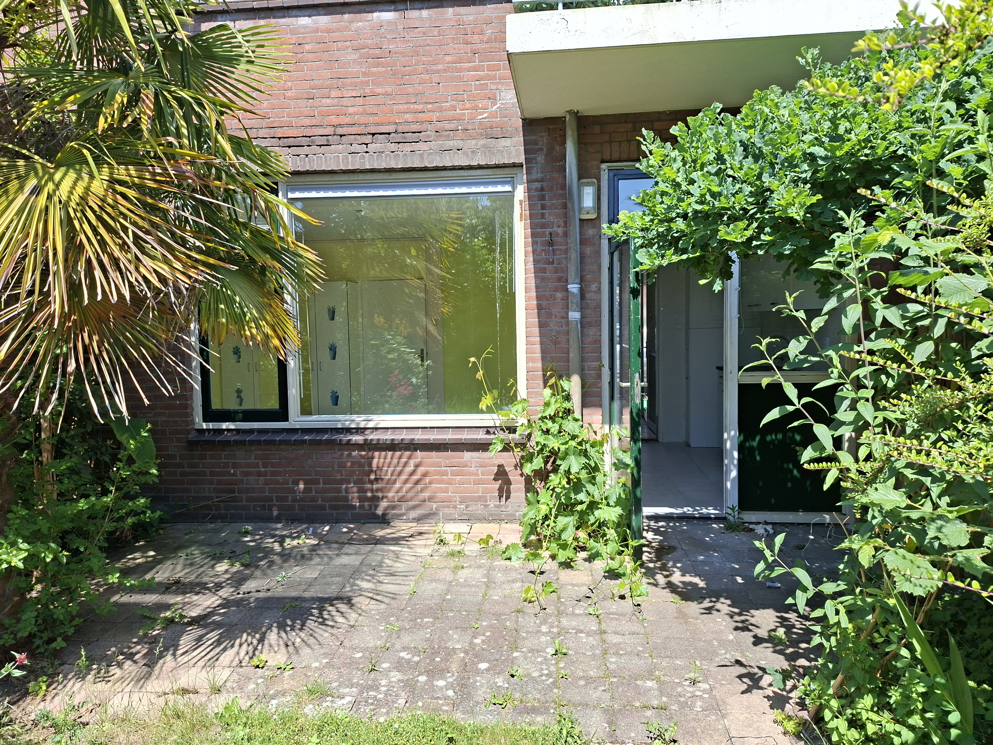 Pioenstraat 5