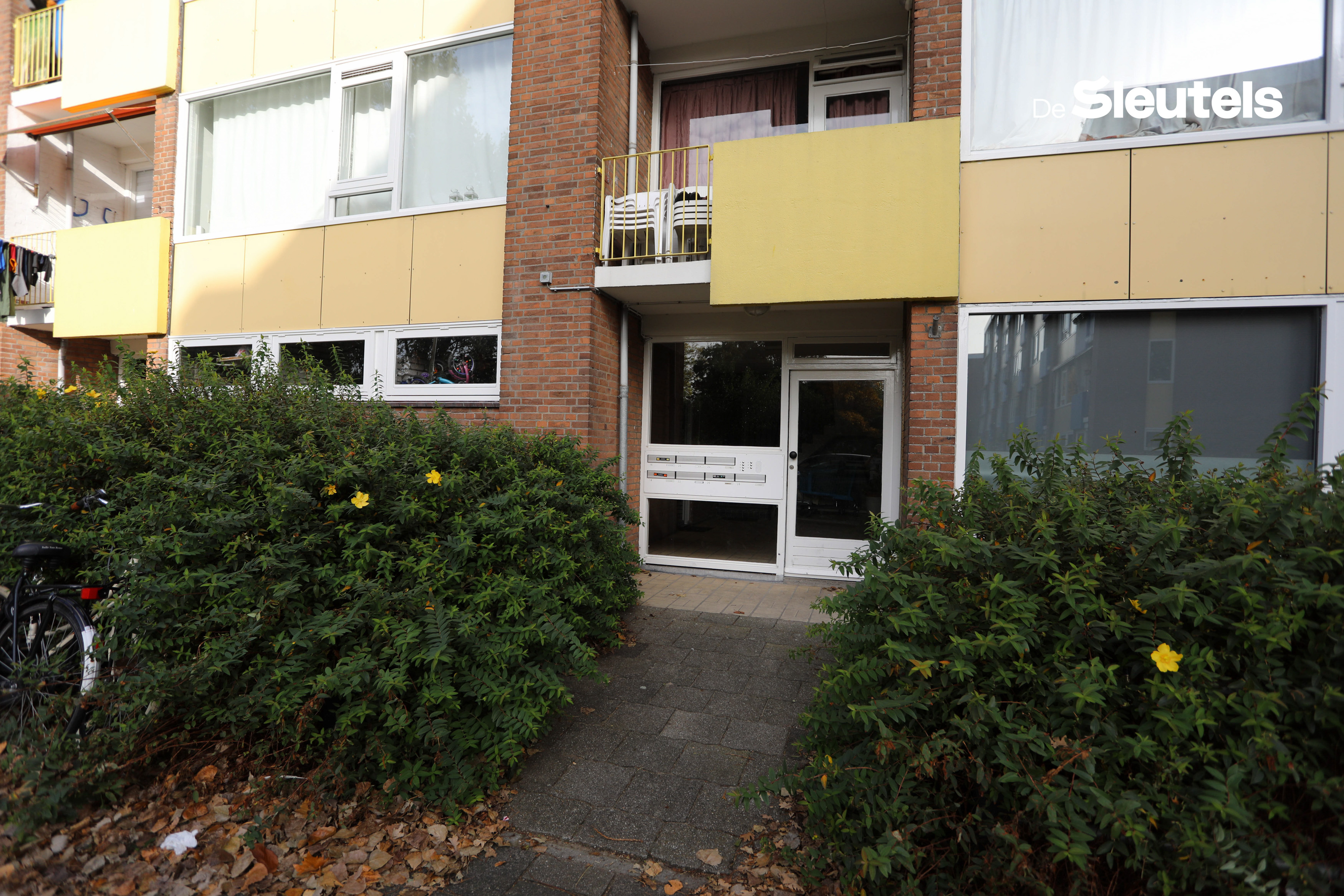 Van 's-Gravensandestraat 61