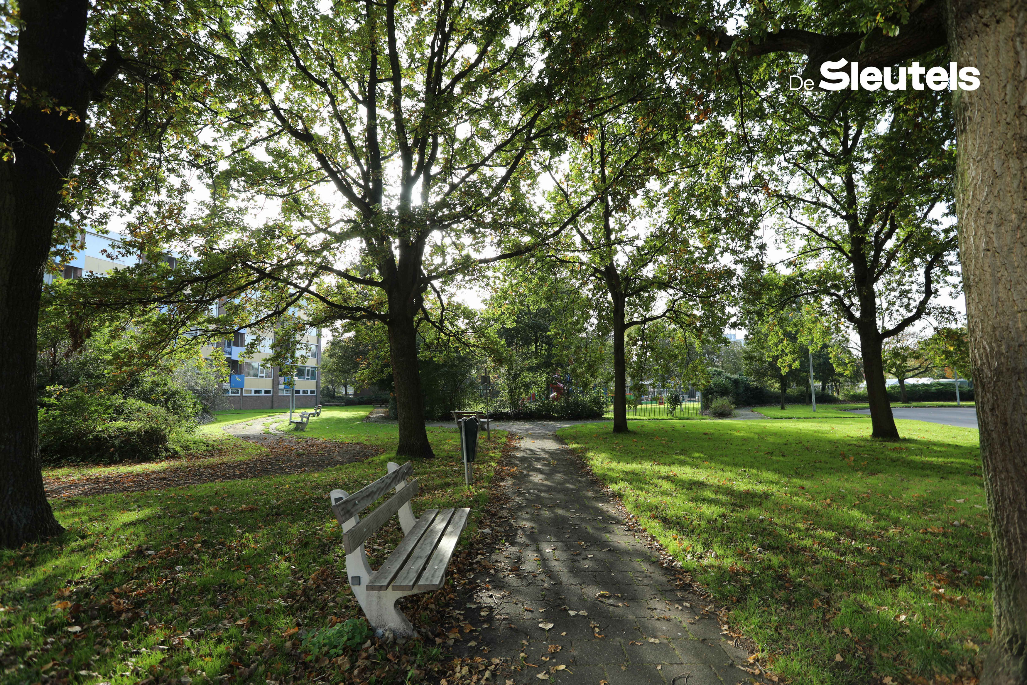 Van 's-Gravensandestraat 61
