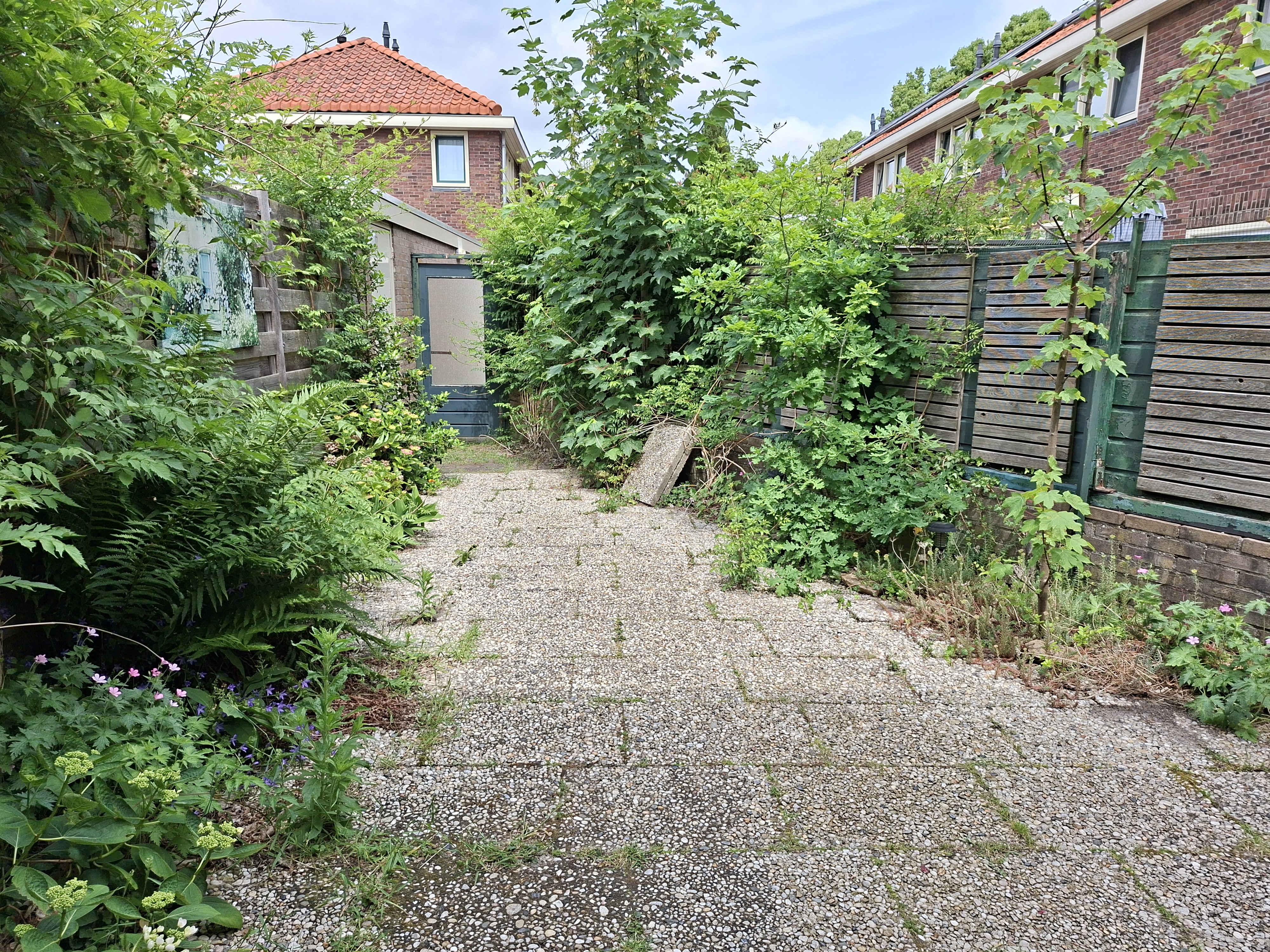 Pieter de la Courtstraat 56