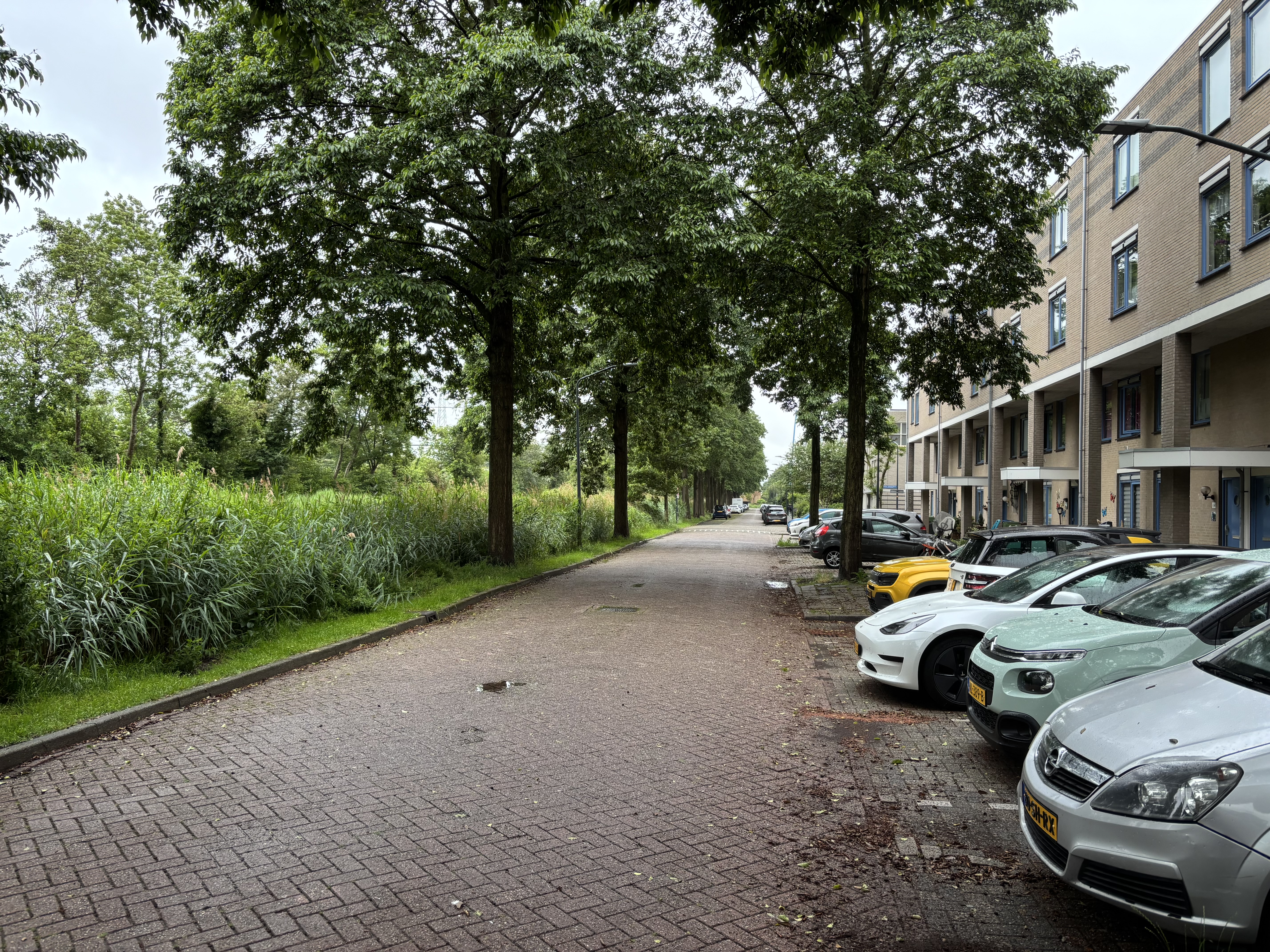 Annie Romeinsingel 136