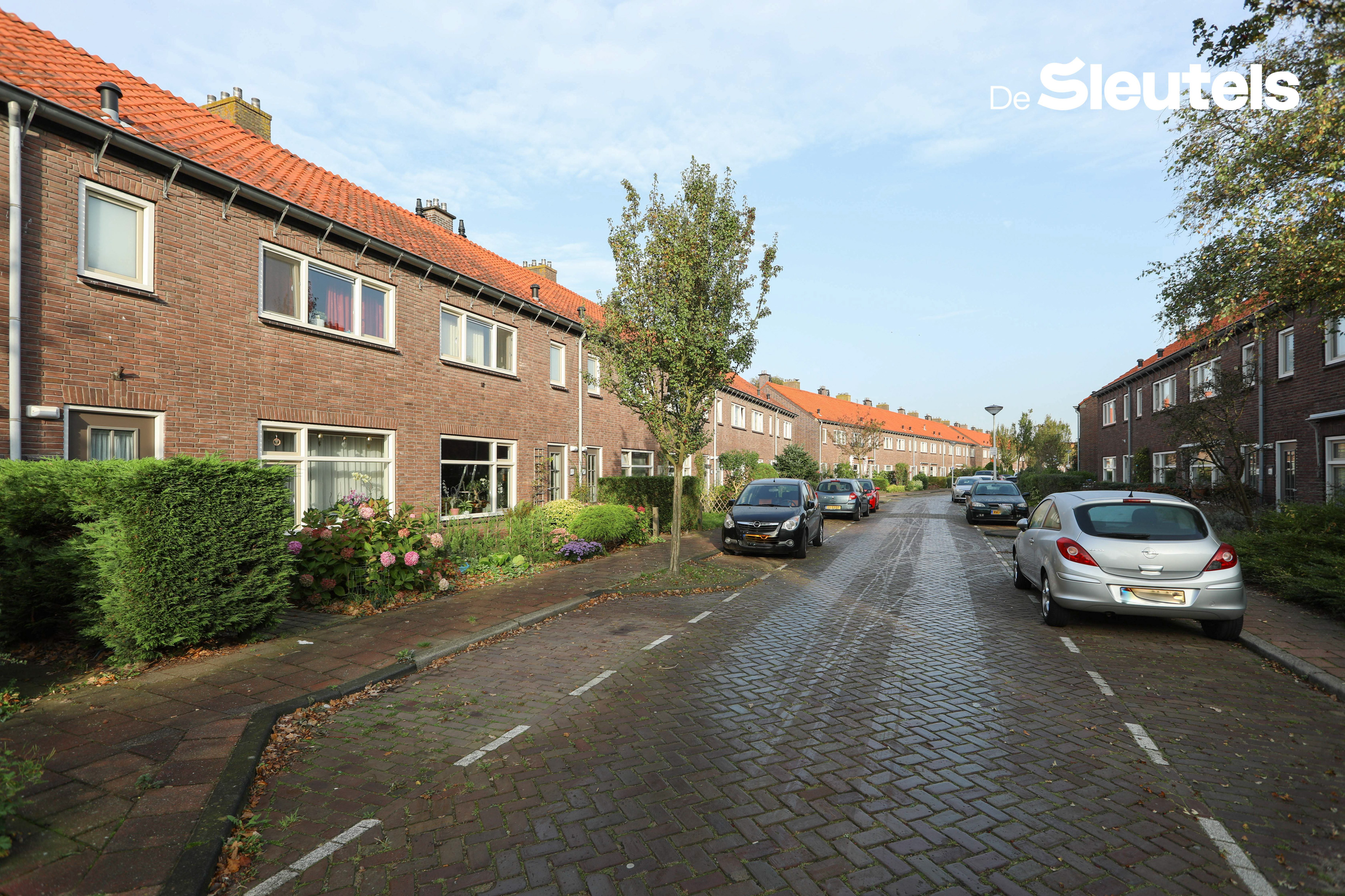 Druivenstraat 46