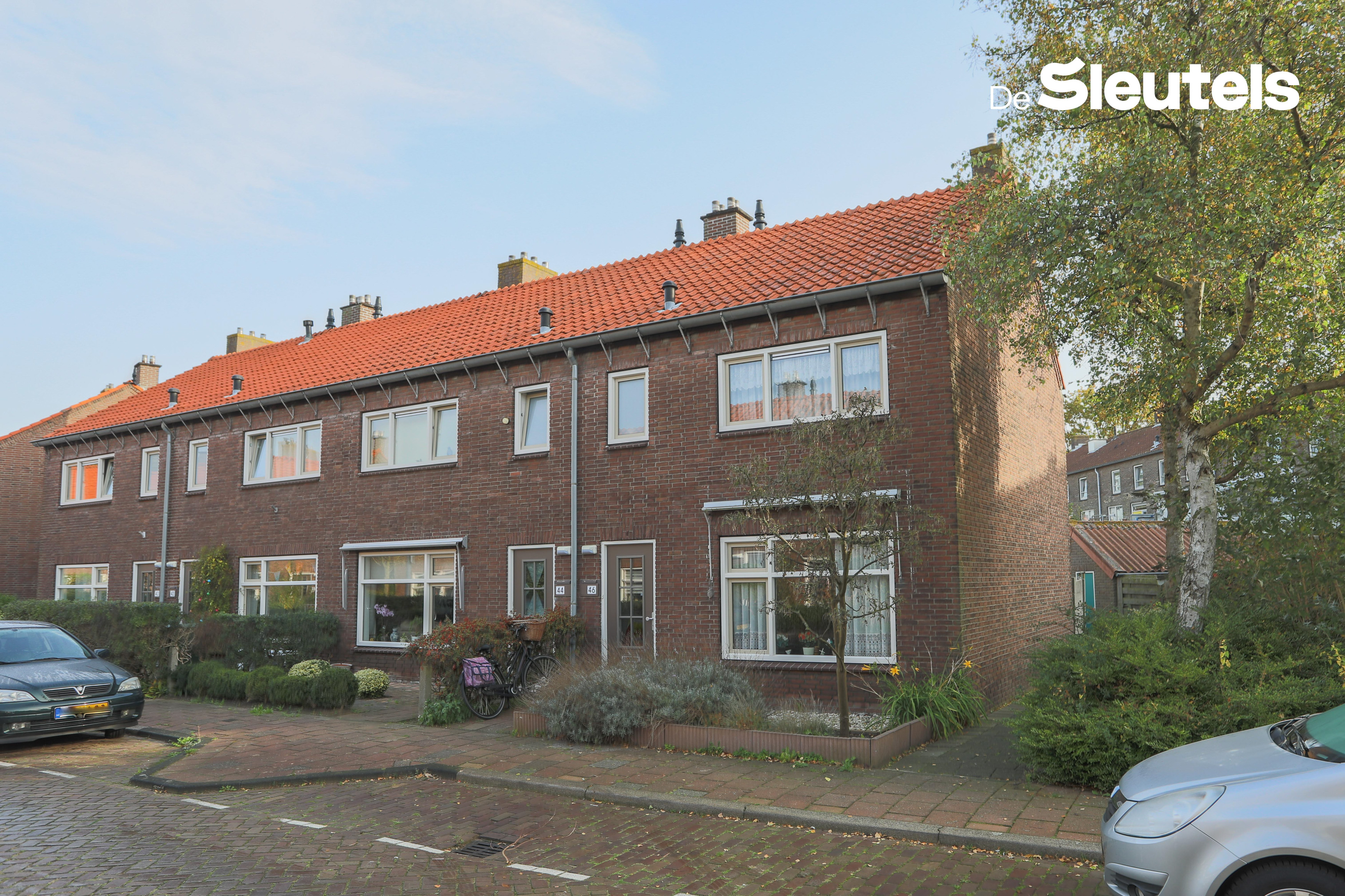 Druivenstraat 46
