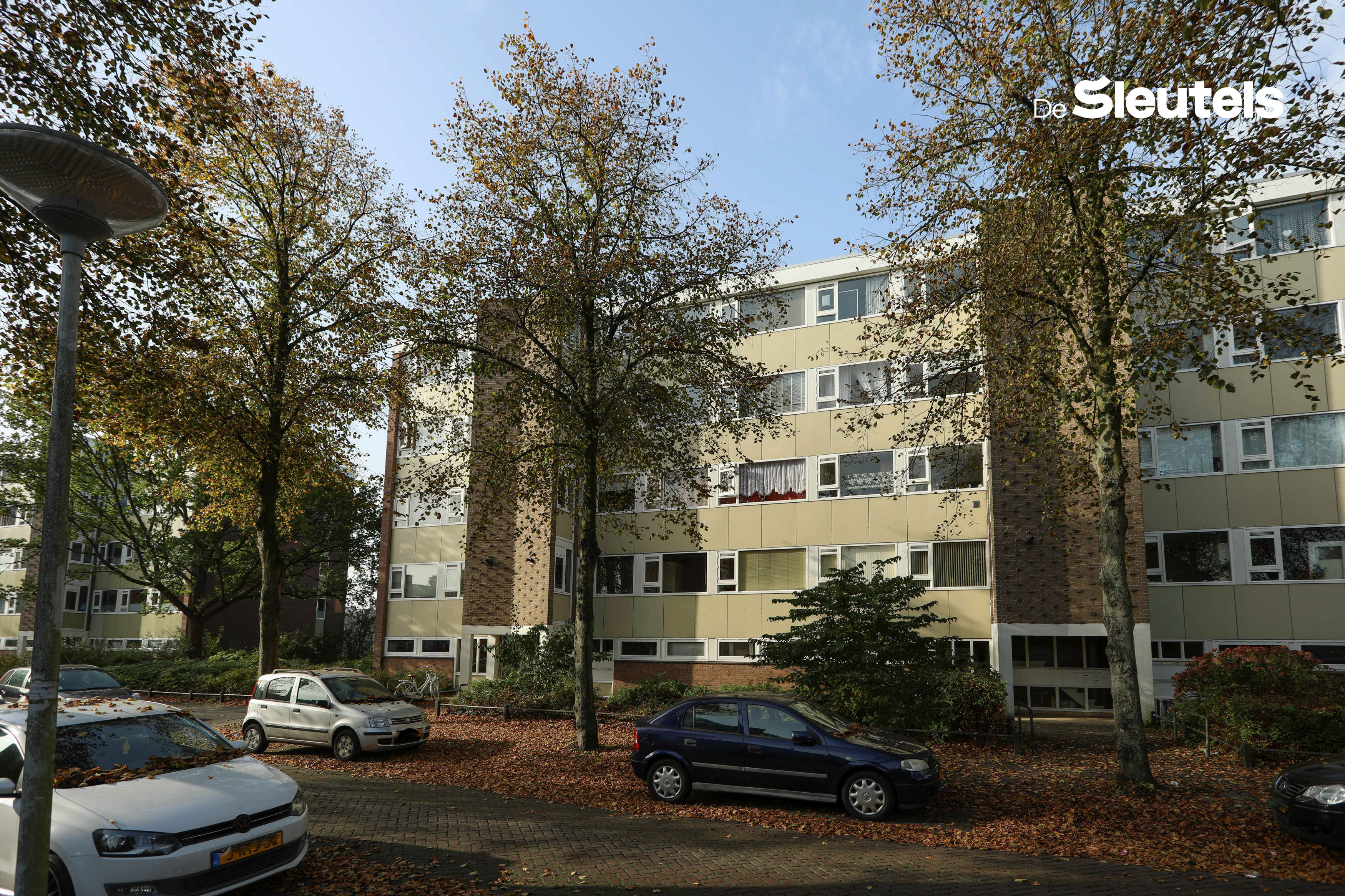 Van 's-Gravensandestraat 71, Leiden