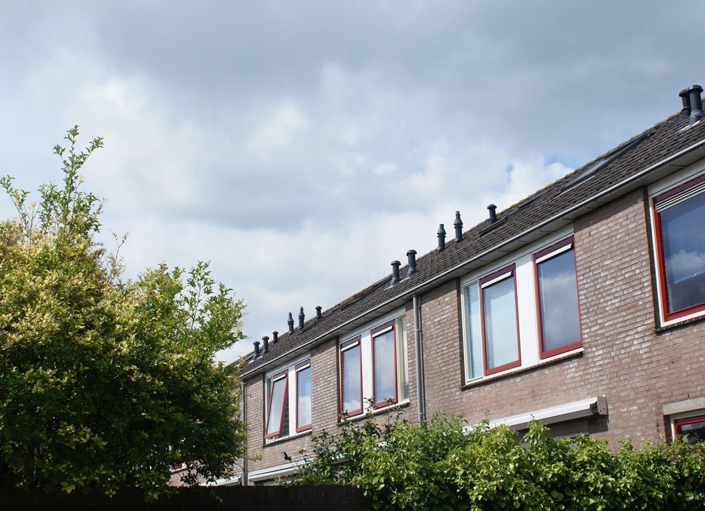 Loenhorst 4