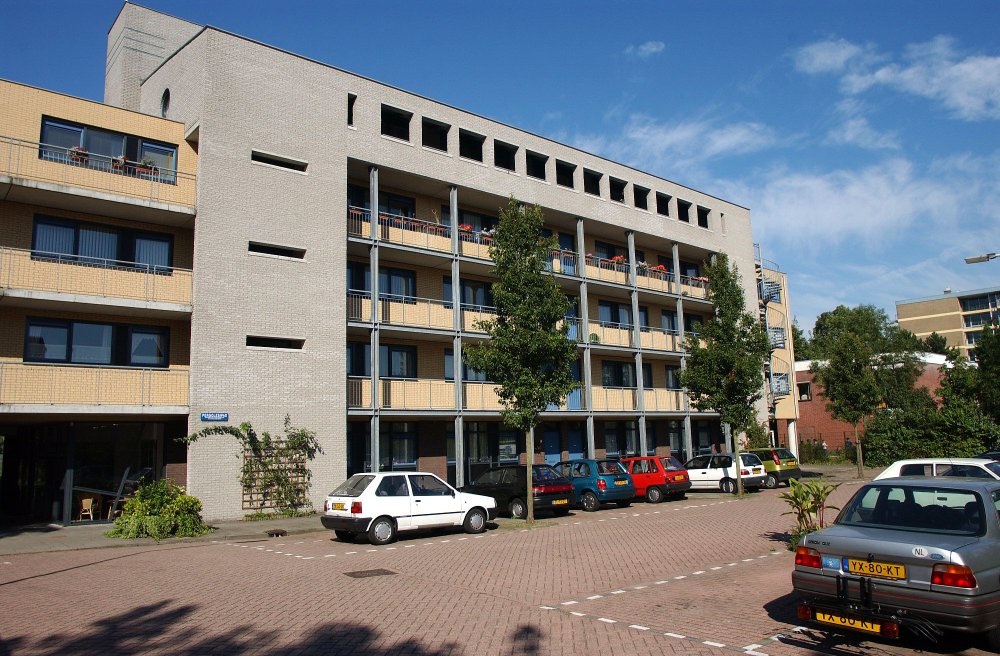Pergolesipad 93, 2324 DG Leiden, Nederland