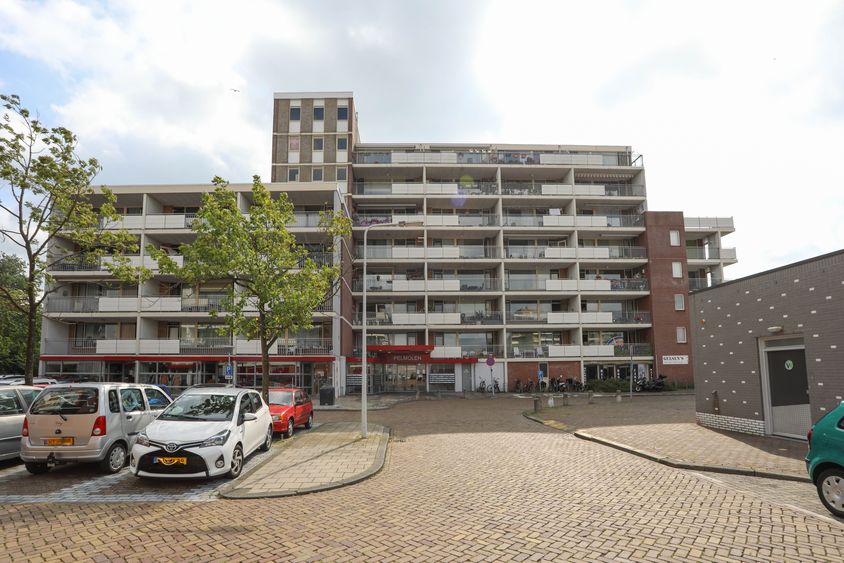 Pelmolen 46