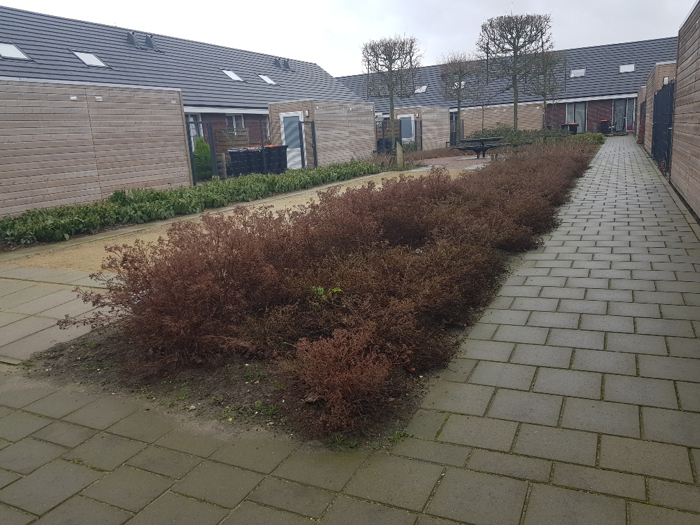 Van Wassenaerstraat 96a