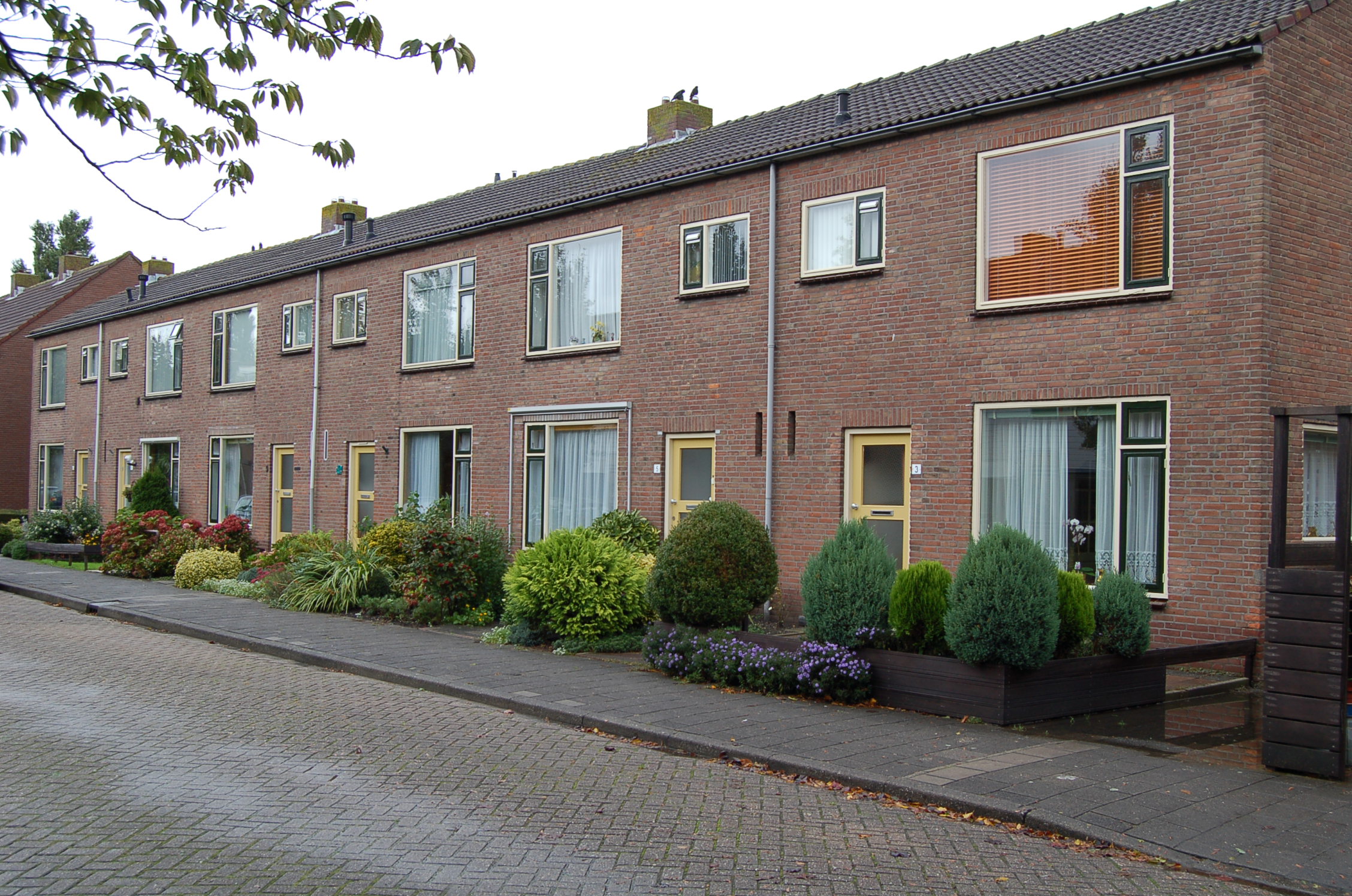 Van Wassenaarstraat 7, 2481 XH Woubrugge, Nederland