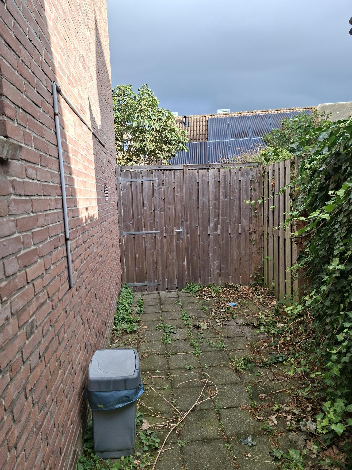 Rusthof 8