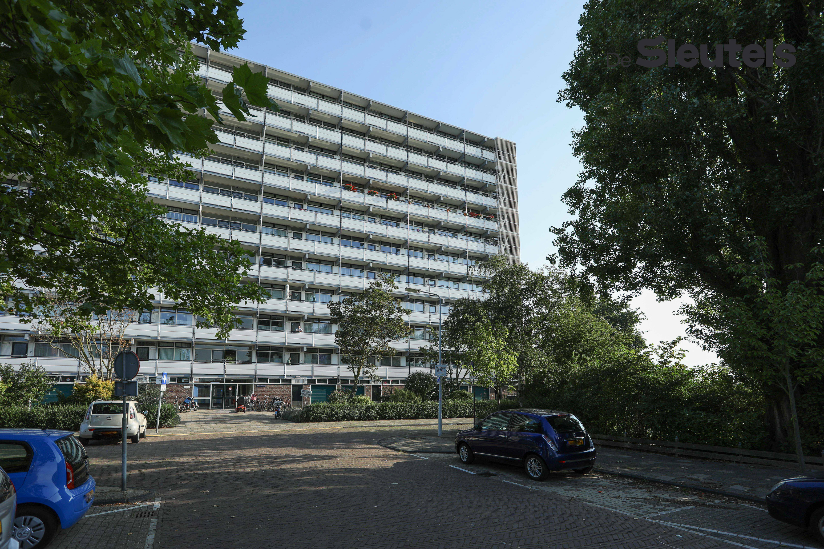 Paramaribohof 12, 2315 VW Leiden, Nederland