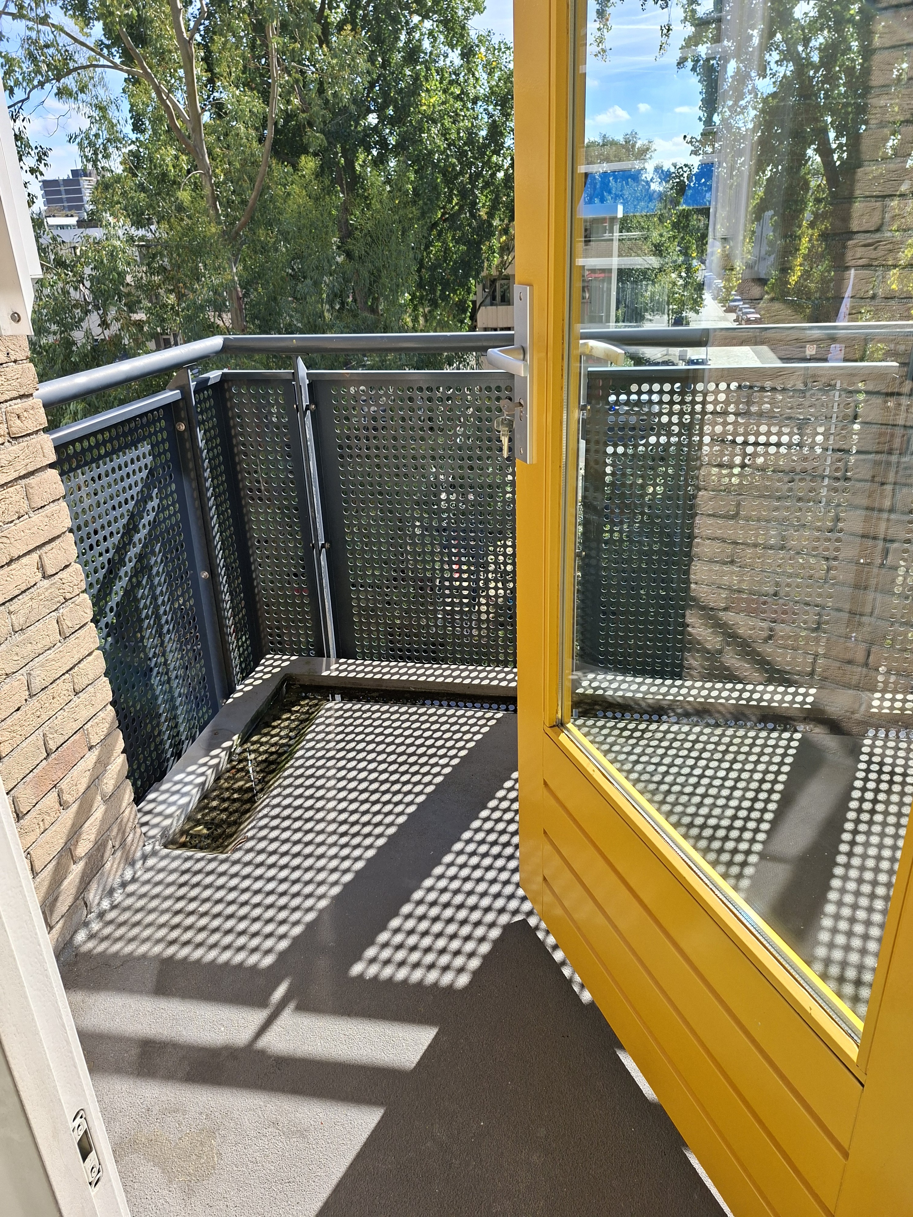 Aaltje Noordewierlaan 128