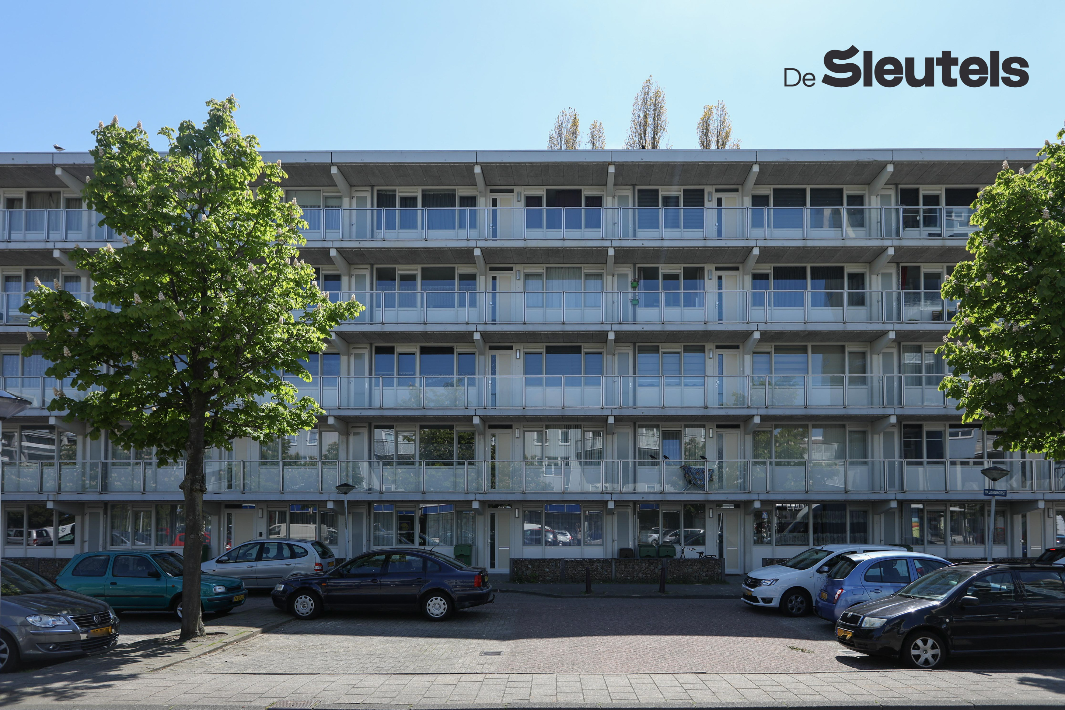 Valkenhorst 36, Leiden